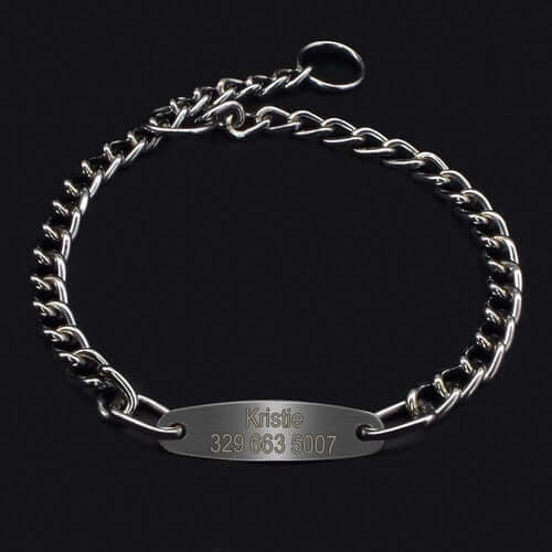 Custom Pet Dog Chain Slip Collar Personalized Pets