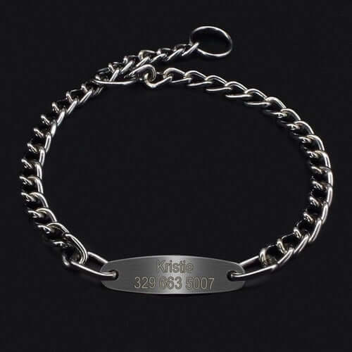 Custom Pet Dog Chain Slip Collar Personalized Pets