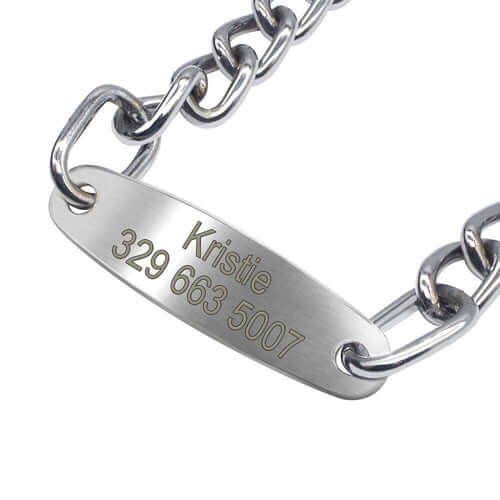 Custom Pet Dog Chain Slip Collar Personalized Pets