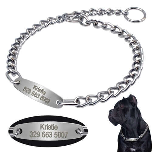 Custom Pet Dog Chain Slip Collar Personalized Pets